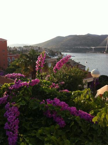Apartments Vila Dana Dubrovnik Zimmer foto